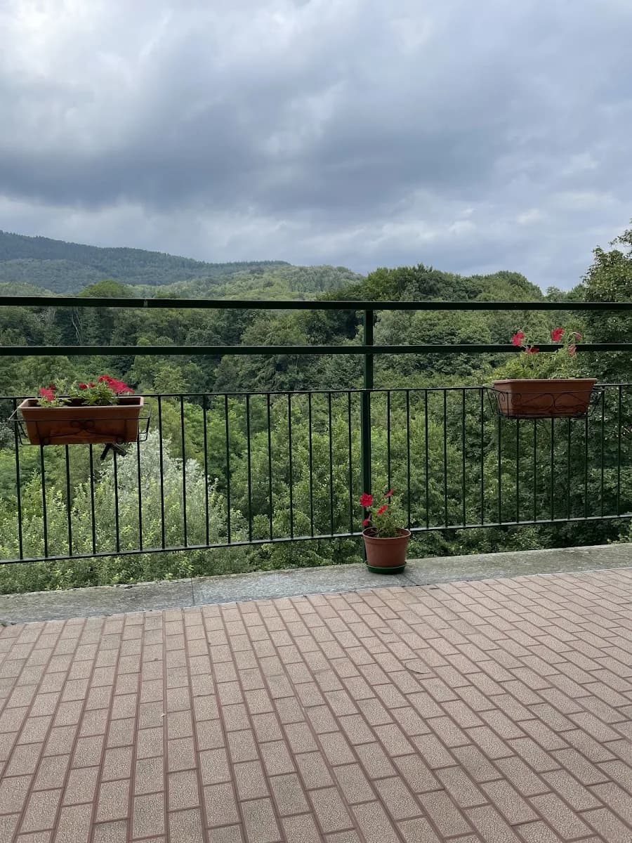 Casa Del Sorriso - Andorno Cacciorna