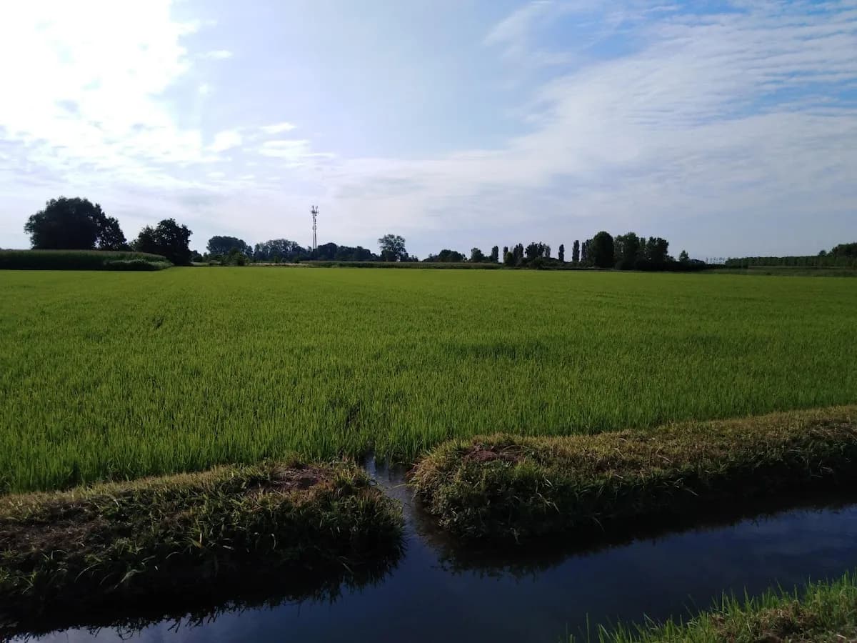 Casa Di Riposo Delfinoni - Casorate Primo