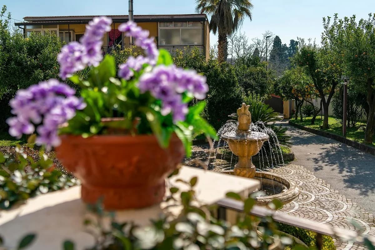 Casa Di Riposo Villa Josephine - Napoli