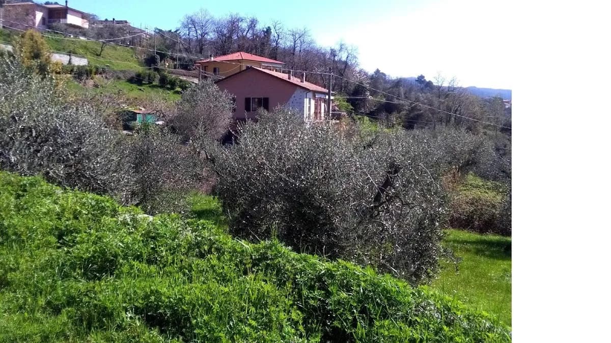 Casa Famiglia Anziani Villa Degli Ulivi - Valdonica