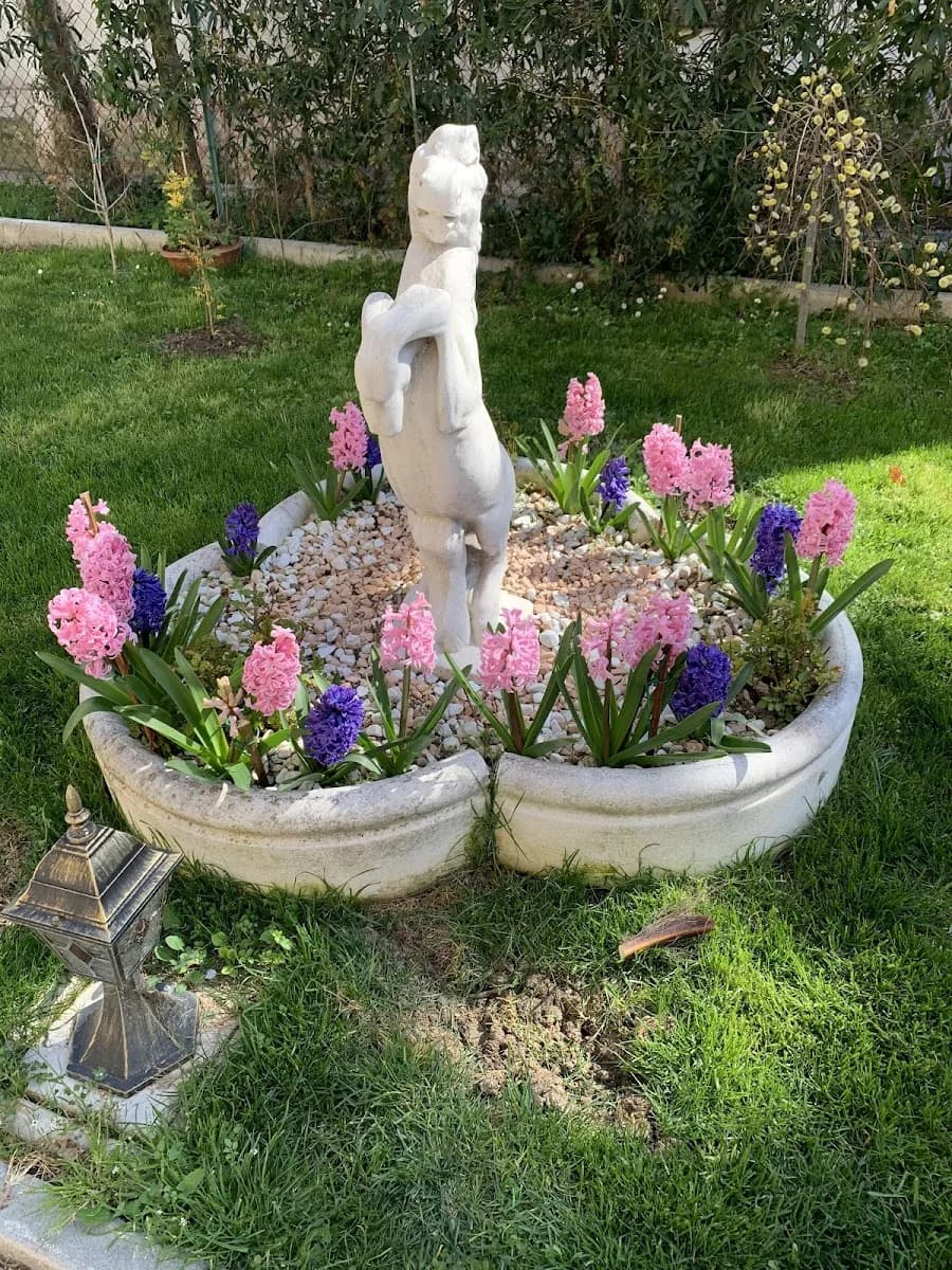 Casa Famiglia Stella (cristina) - Bagnacavallo