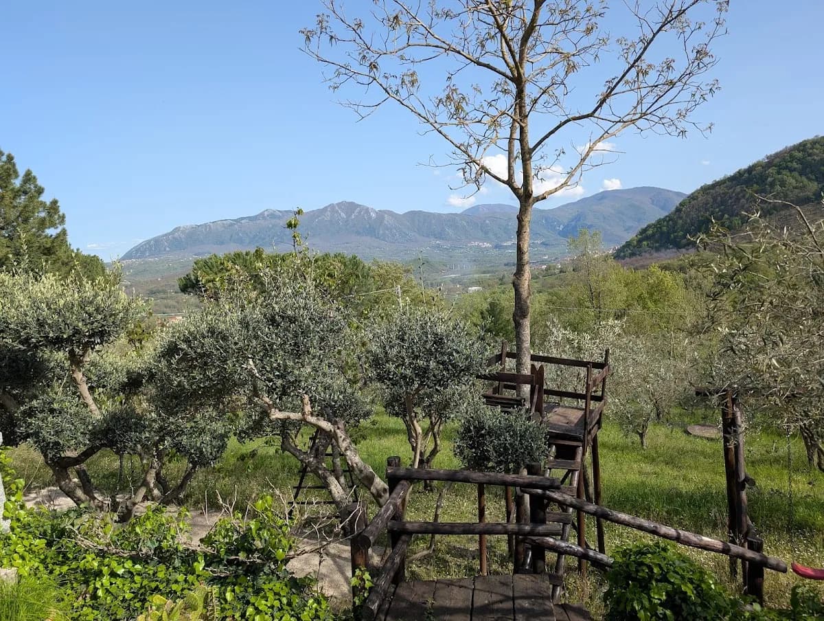 Cecila Nunziata - Cassano Irpino