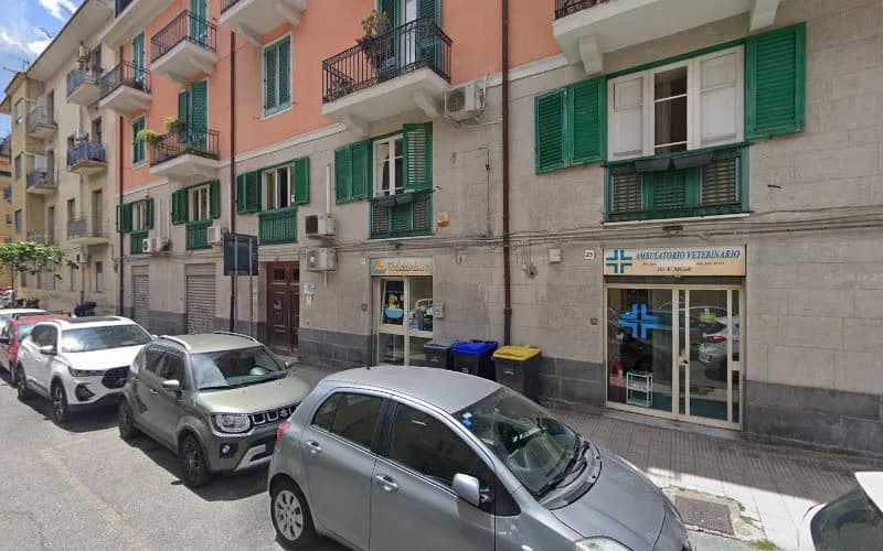 Comunità Alloggio Arzilla - Messina