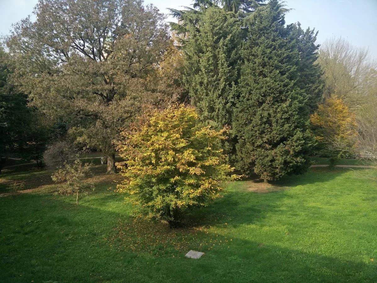 Iras Istituto Rodigino Di Assistenza Sociale - Rovigo