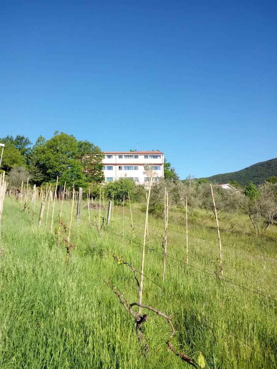 Istituto Salubritas - Montaquila