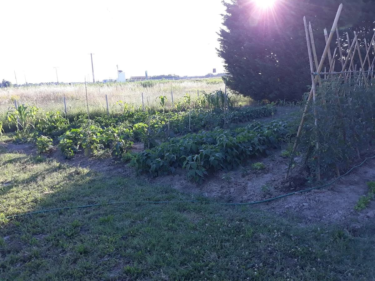 La Fattoria Dei Nonni Casa Famiglia Per Anziani - Ravenna