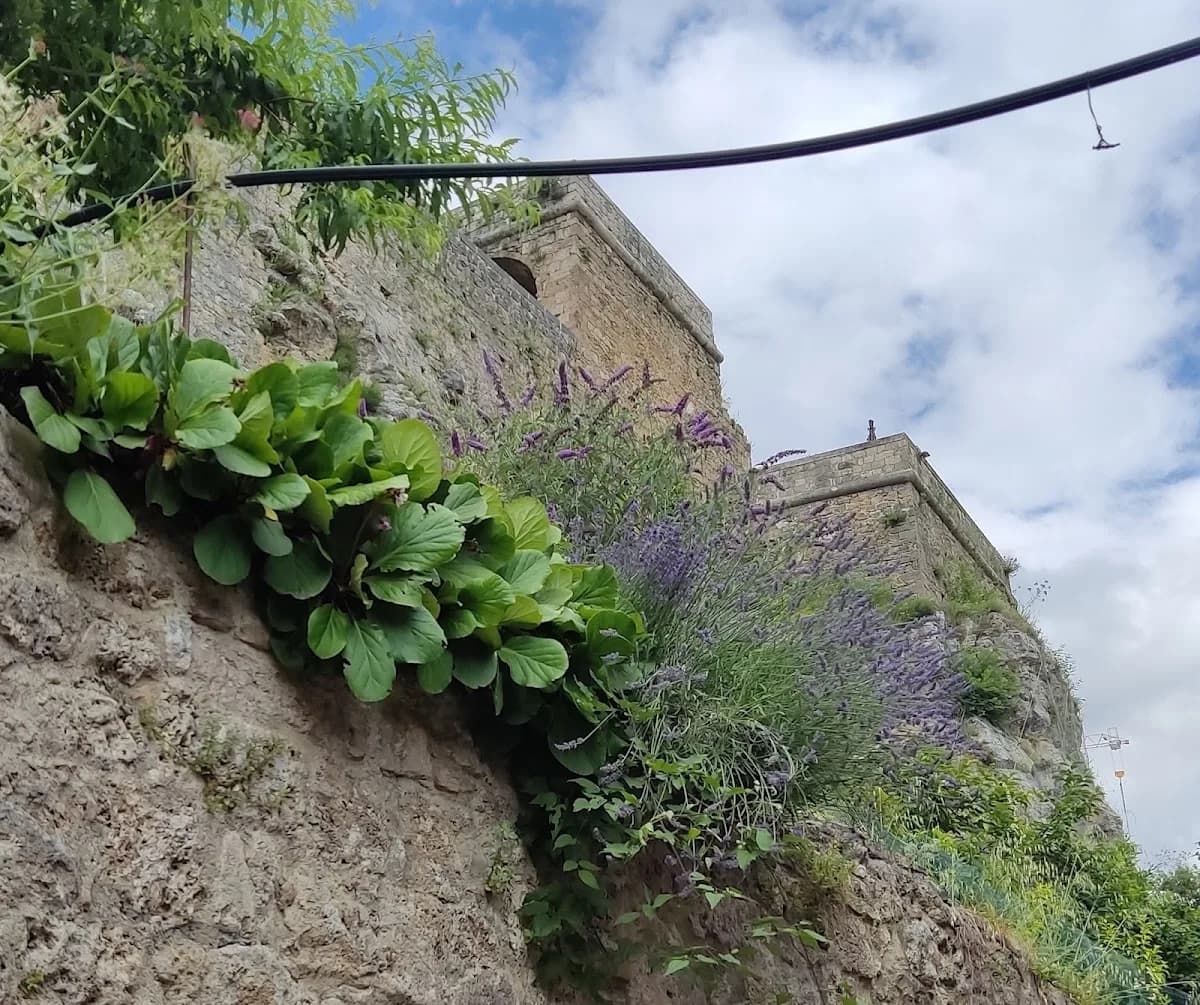 Opera Pia Filippo Alessandrini - Civitella del Tronto