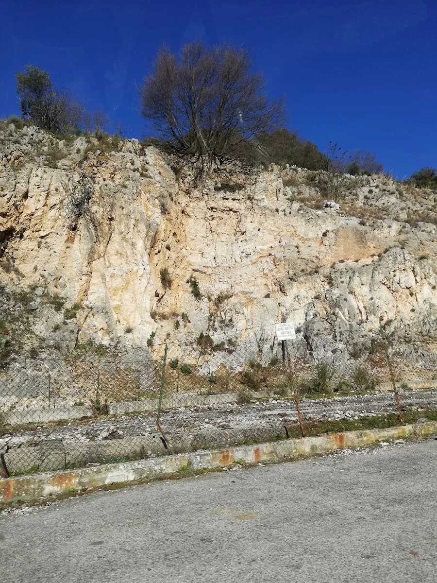 Provincia Italiana Dellordine Scalzi S.s. Trinita - Cori