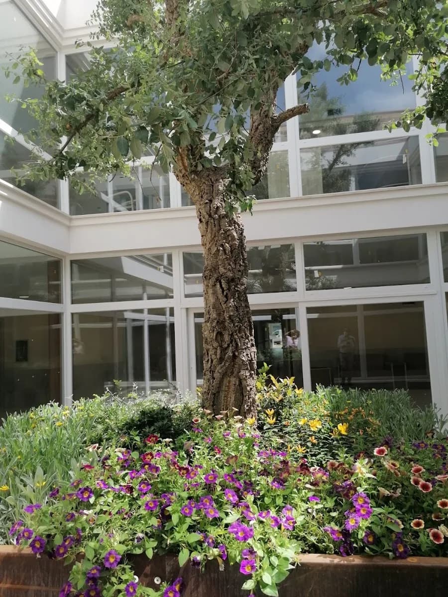 Residenza Anni Azzurri Il Poggione - Grosseto