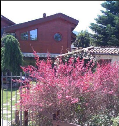Villa Arzilla - Contigliano
