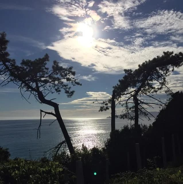 Villa Regina - Genova
